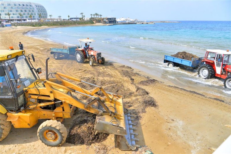 Dalgalarla kıyıya vuran atıklar alanya belediyesi ekiplerince temizleniyor