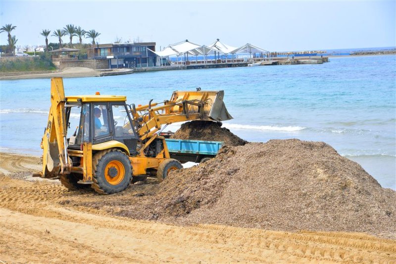 Dalgalarla kıyıya vuran atıklar alanya belediyesi ekiplerince temizleniyor