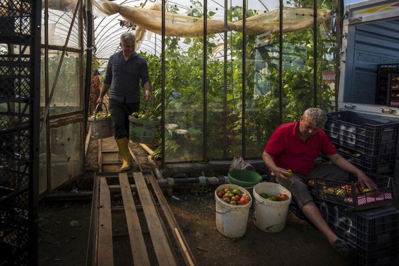 Alanya belediyesi 16. ulusal fotoğraf yarışması sonuçları açıklandı