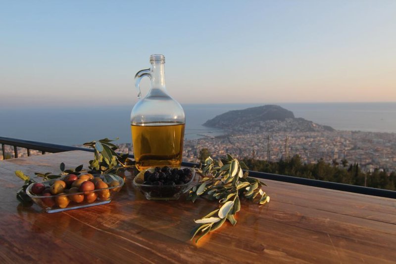 Alanya belediyesi 16. ulusal fotoğraf yarışması sonuçları açıklandı