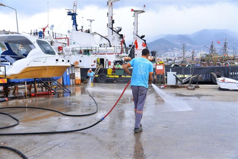 Belediye ve kooperatif iş birliğinde iskele bölgesinde temizlik ve düzenleme