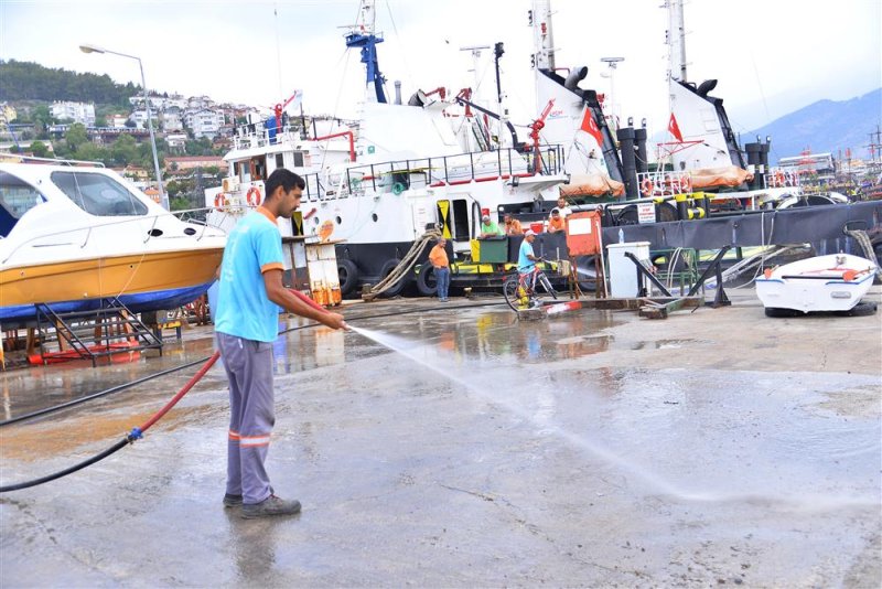 Belediye ve kooperatif iş birliğinde iskele bölgesinde temizlik ve düzenleme