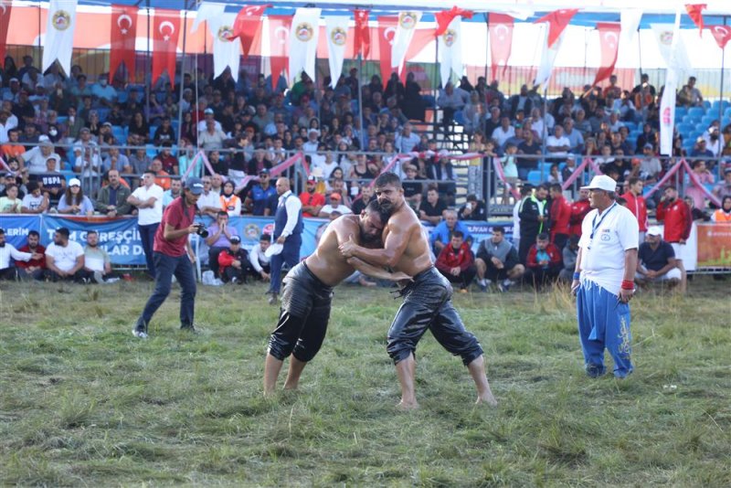 16. gökbel yağlı pehlivan güreşleri’nin şampiyonu şimşek oldu