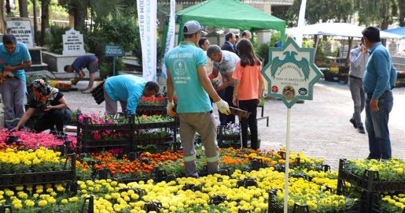 Alanya belediyesi bayramda ücretsiz 60 bin çiçek dağıtacak