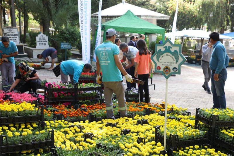 Alanya belediyesi bayramda ücretsiz 60 bin çiçek dağıtacak