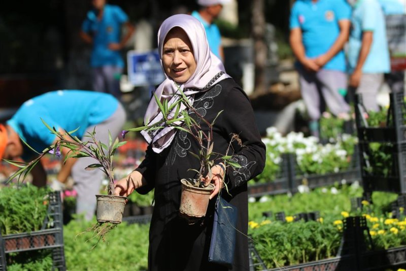 Alanya belediyesi bayramda ücretsiz 60 bin çiçek dağıtacak