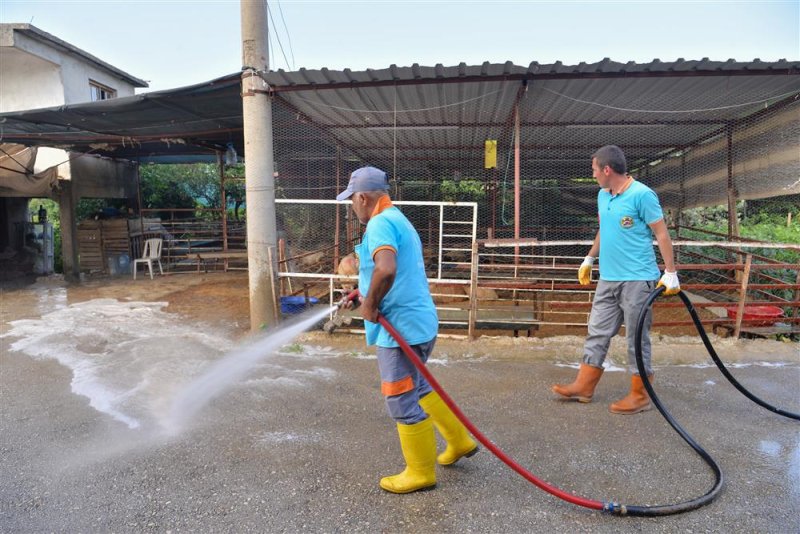 Alanya belediyesi kurban bayramında 3 bin 404 ton atık topladı 377 ton ambalaj atığı toplandı