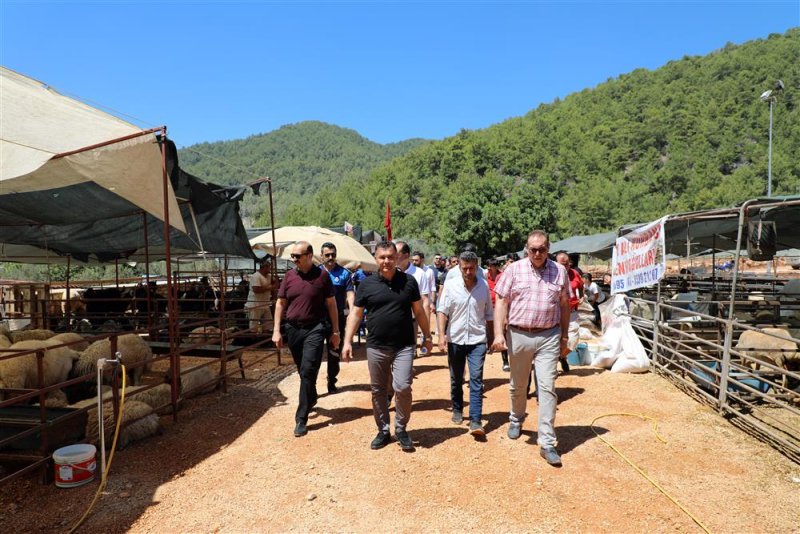 Alanya belediyesi’nin kapalı hayvan pazarı ve kurban satış yeri dualarla hizmete girdi