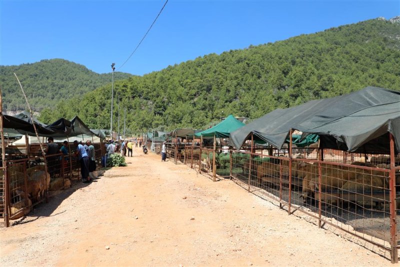 Alanya belediyesi’nin kapalı hayvan pazarı ve kurban satış yeri dualarla hizmete girdi