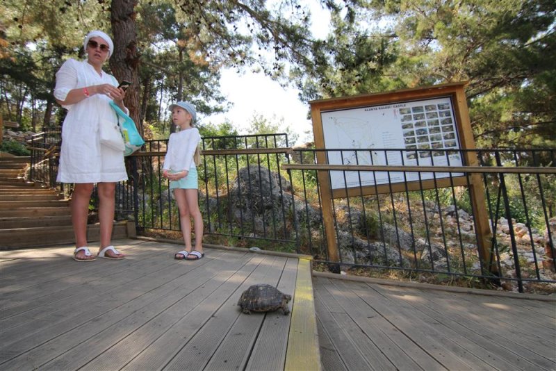 Alanya kalesi gezi rotasındaki yönlendirme levhaları ve panolar yenilendi