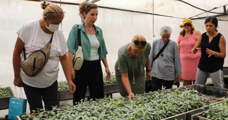 Tıbbi Aromatik Bitkiler Kursuna Yoğun İlgi