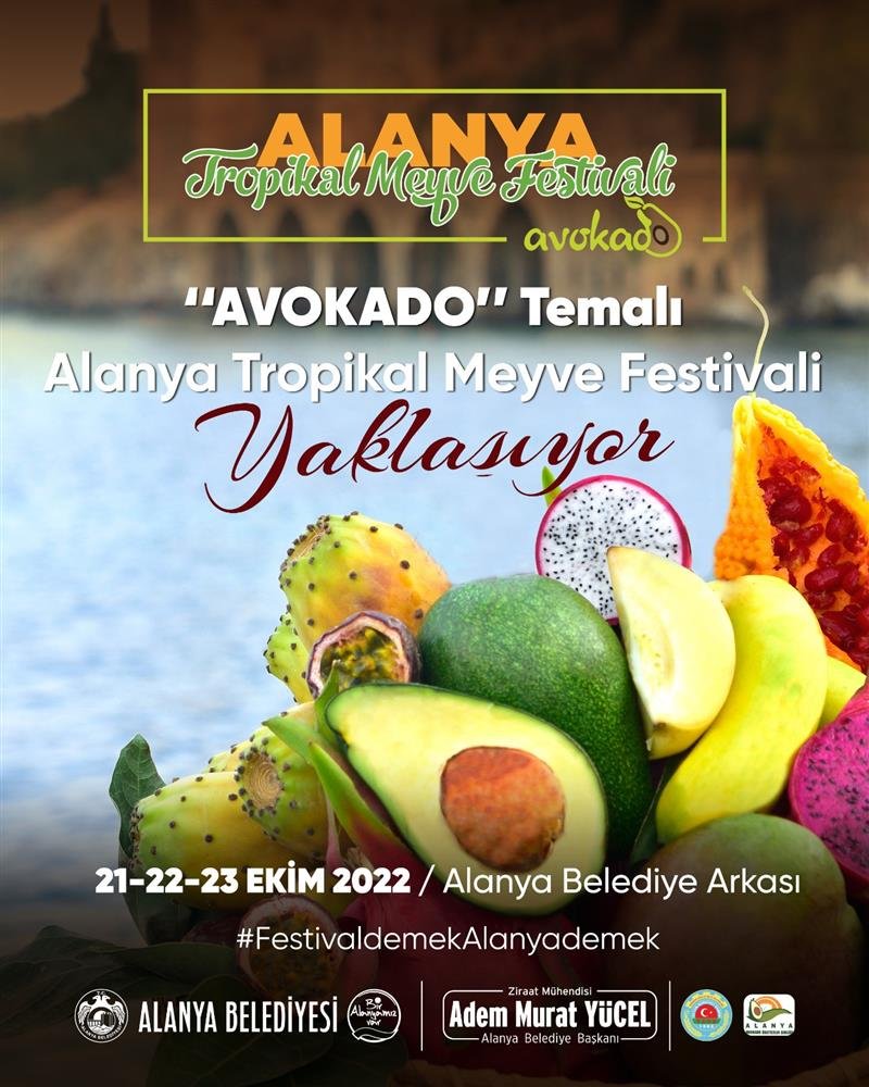 Avokado temalı tropikal meyve festivali yaklaşıyor