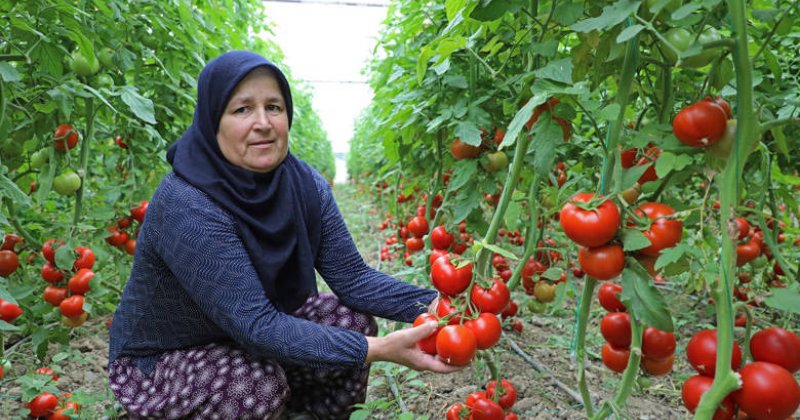 Büyükşehir’in Sulama Projesi  Manavgat’a Hayat Verdi