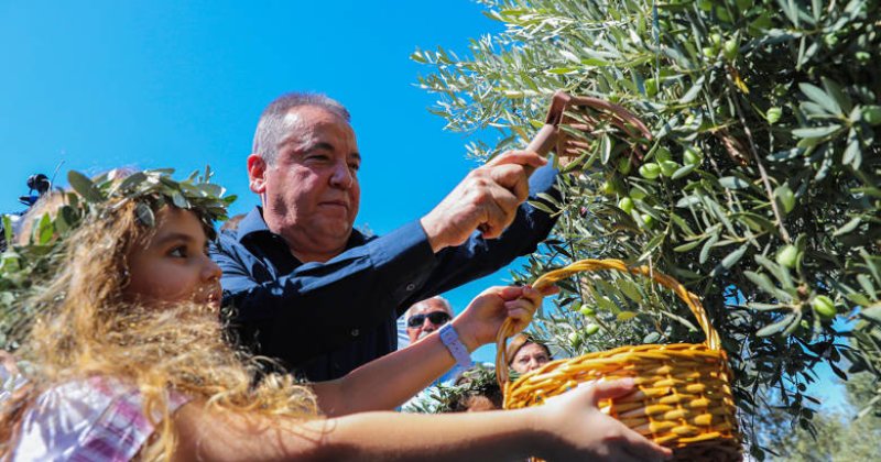 Food Fest Antalya Gastronomi Festivalinde ‘Zeytin Hasadı’