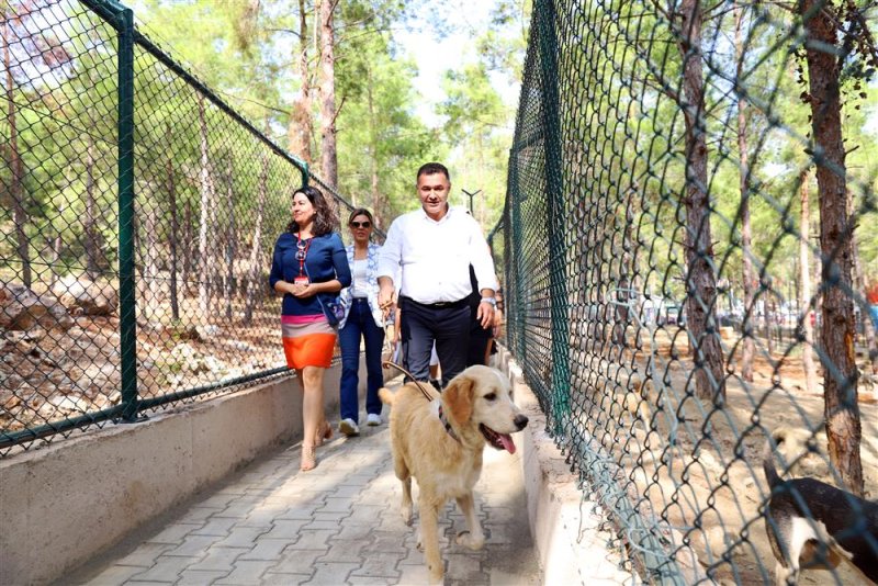 Alanya belediyesi köpek bahçesi ve doğal yaşam alanı açıldı