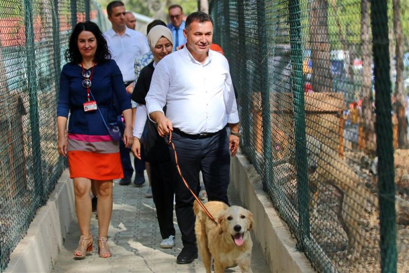 Alanya belediyesi köpek bahçesi ve doğal yaşam alanı açıldı