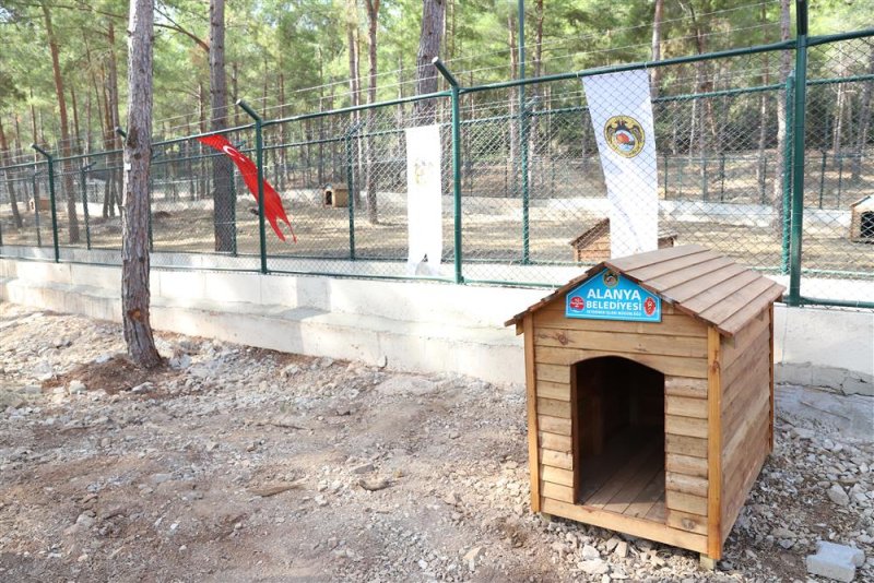 Alanya belediyesi köpek bahçesi ve doğal yaşam alanı açıldı