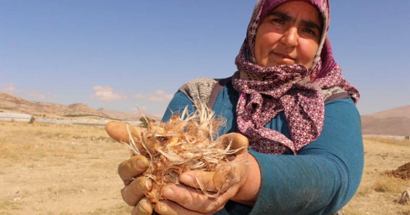 Başkan Muhittin Böcek’in Yerelden  Kalkınma Hamlesi Adım Adım İlerliyor