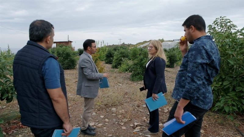 ‘en güzel avokado’ için jüri değerlendirmeleri yapıldı