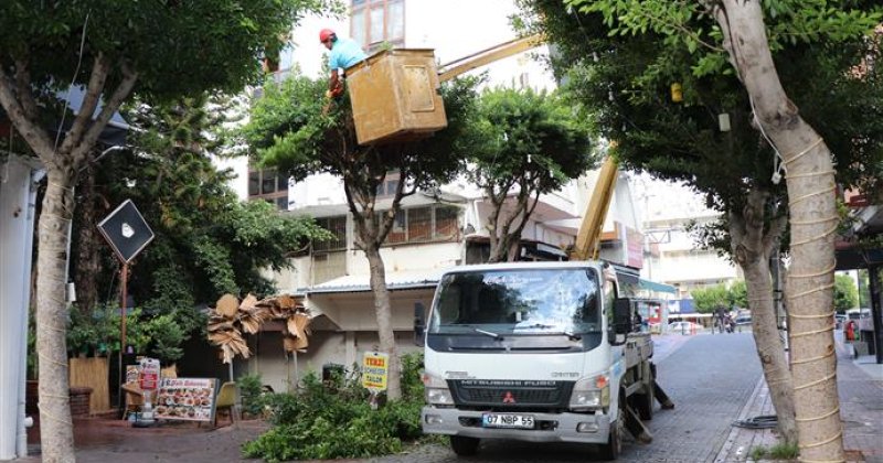 Alanya belediyesi kışlık bakım çalışmalarına devam ediyor