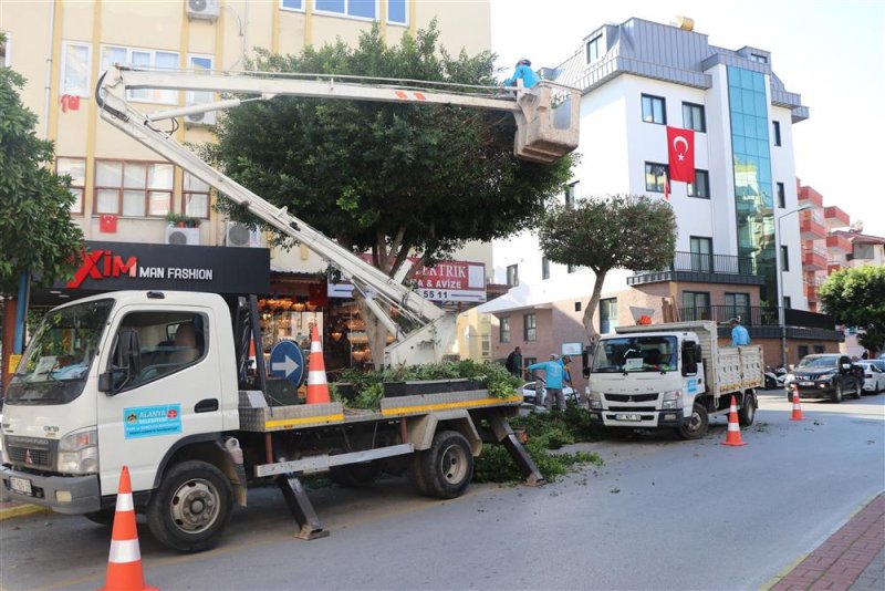 Alanya belediyesi kışlık bakım çalışmalarına devam ediyor