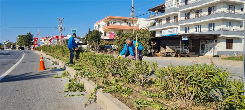 Alanya belediyesi kışlık bakım çalışmalarına devam ediyor