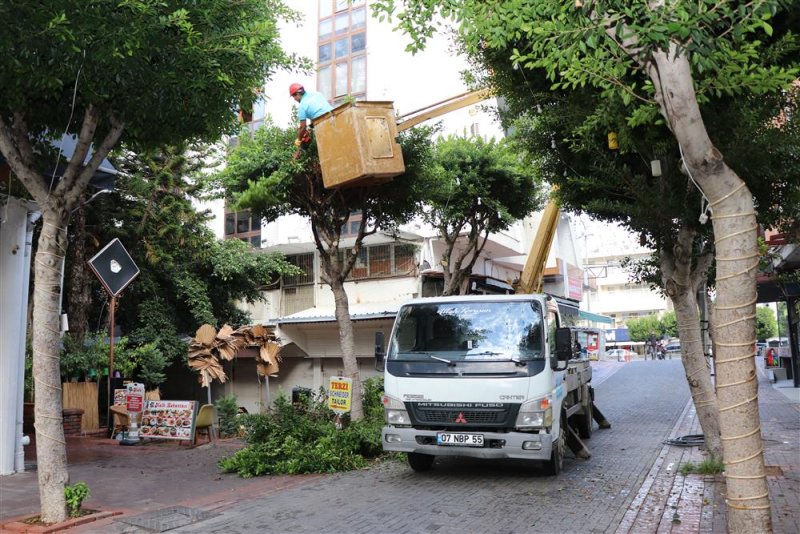 Alanya belediyesi kışlık bakım çalışmalarına devam ediyor