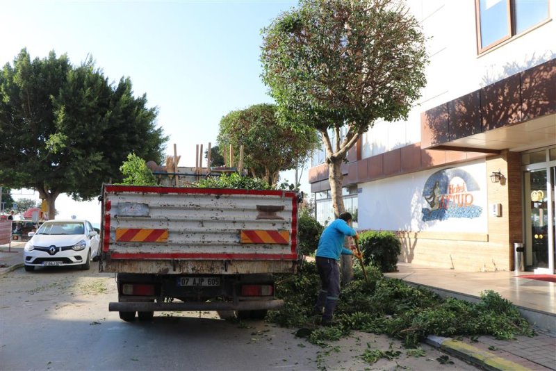 Alanya belediyesi kışlık bakım çalışmalarına devam ediyor