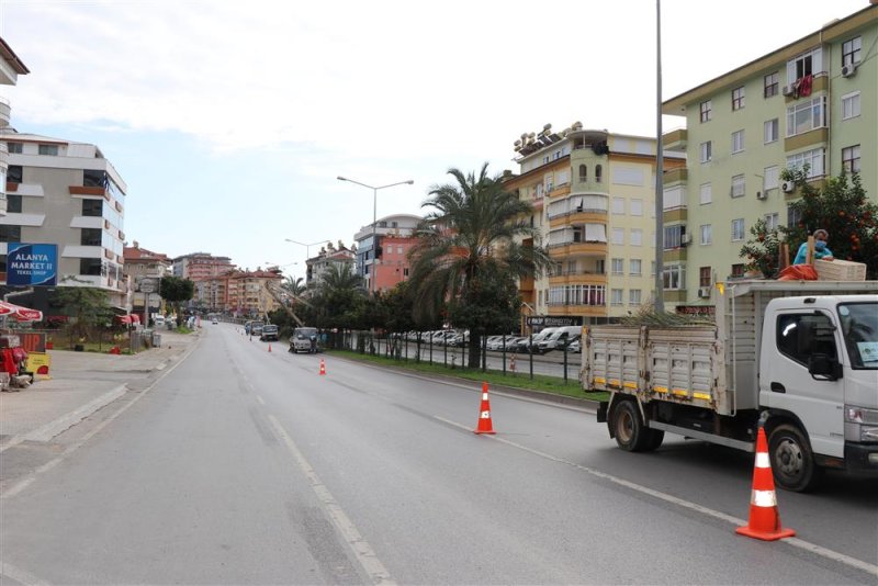 Alanya belediyesi kışlık bakım çalışmalarına devam ediyor