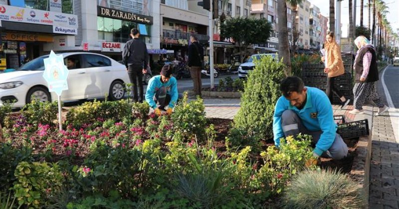 Tüm şehir kışlık mevsimlik çiçeklerle donatılıyor