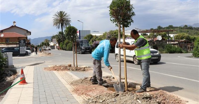 Alanya belediyesi daha yeşil bir alanya için çalışmalarına devam ediyor