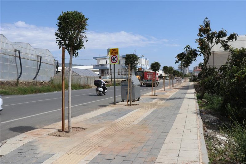 Alanya belediyesi daha yeşil bir alanya için çalışmalarına devam ediyor