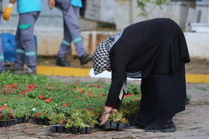 Alanya belediyesi geleneksel çiçek dağıtımını gerçekleştirdi