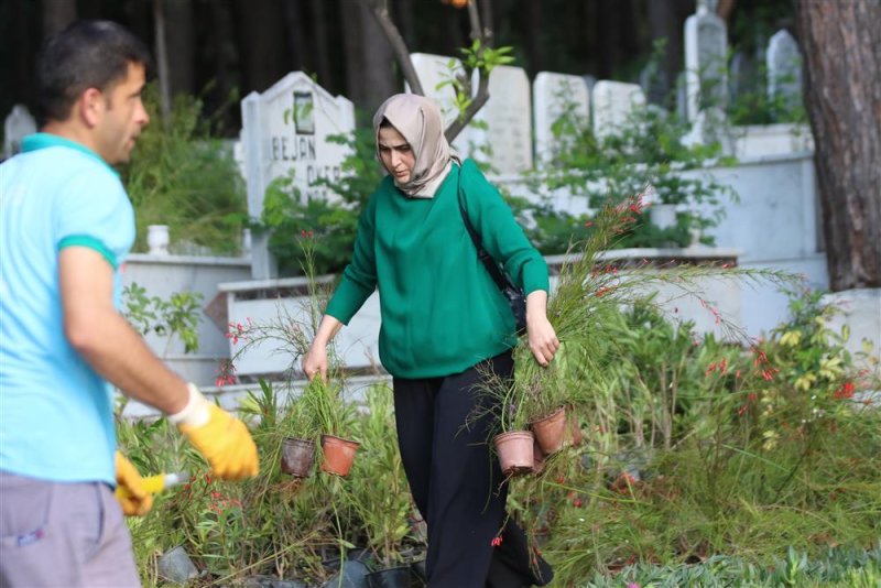 Alanya belediyesi geleneksel çiçek dağıtımını gerçekleştirdi