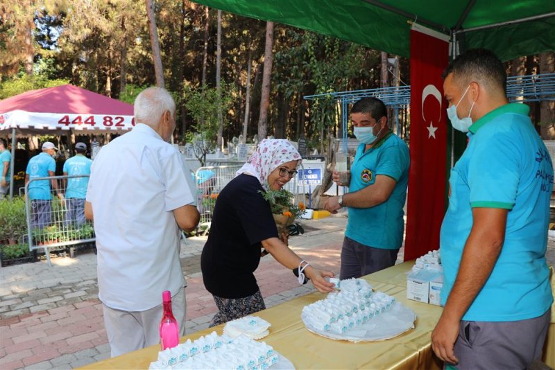 Alanya belediyesi ramazan bayramı’nda ücretsiz 62 bin 500 çiçek dağıtacak