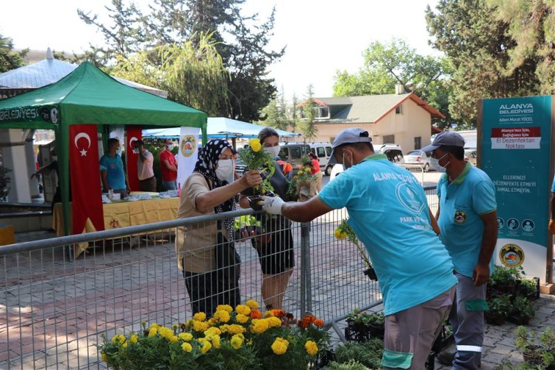 Alanya belediyesi ramazan bayramı’nda ücretsiz 62 bin 500 çiçek dağıtacak