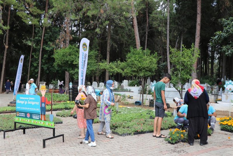 Alanya belediyesi ramazan bayramı’nda ücretsiz 62 bin 500 çiçek dağıtacak
