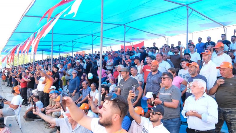 17. geleneksel gökbel yağlı pehlivan güreşleri sona erdi