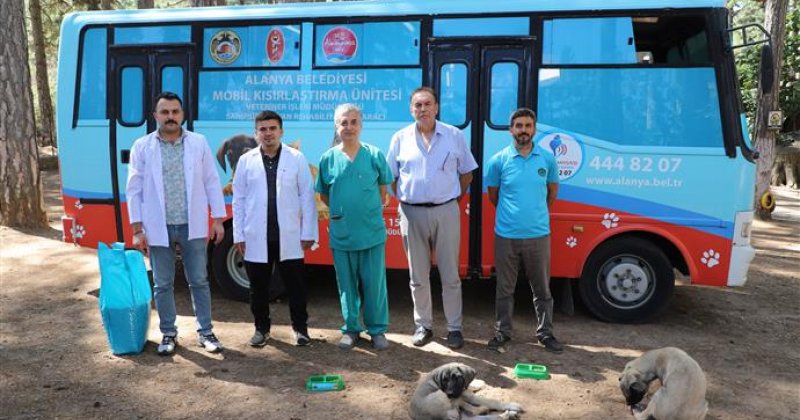 Alanya belediyesi mobil kısırlaştırma aracı yaylalarda