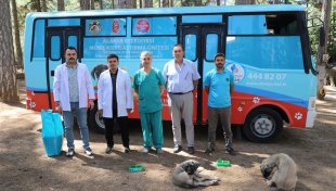 Alanya belediyesi mobil kısırlaştırma aracı yaylalarda