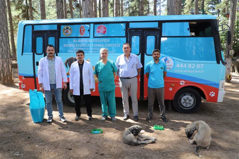 Alanya belediyesi mobil kısırlaştırma aracı yaylalarda