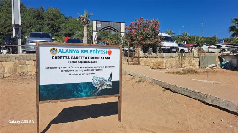 Alanya belediyesi’nden caretta carettalara özel çalışma yumurtlama alanları işaretlendi
