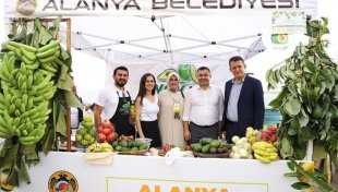 Avokado ve mango temalı tropikal meyve festivali için hazırlıklar sürüyor