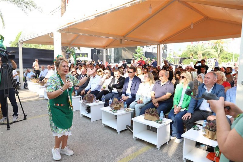 Avokado ve mango temalı tropikal meyve festivali için hazırlıklar sürüyor