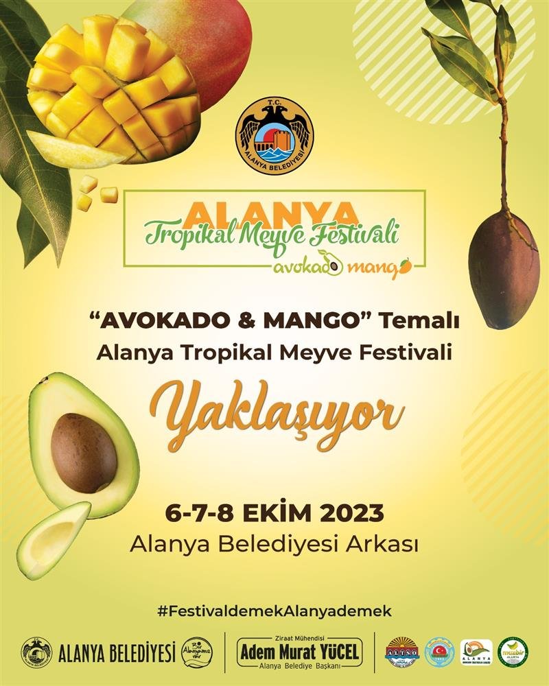 Avokado ve mango temalı tropikal meyve festivali için hazırlıklar sürüyor