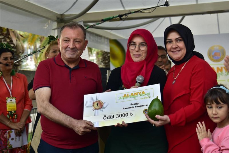 Avokado ve mango temalı tropikal meyve festivali için hazırlıklar sürüyor