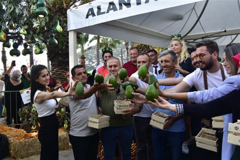 Avokado ve mango temalı tropikal meyve festivali için hazırlıklar sürüyor