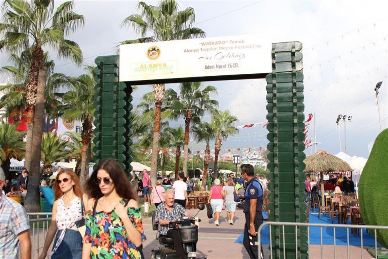 Avokado ve mango temalı tropikal meyve festivali için hazırlıklar sürüyor