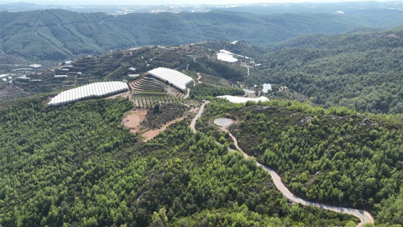 Kırsaldan merkeze 4 koldan asfalt çalışması devam ediyor