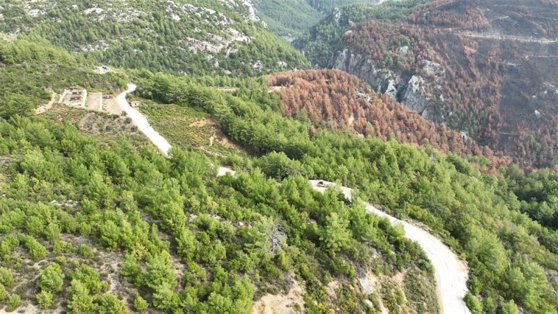 Üzümlü yolu asfaltla buluştu